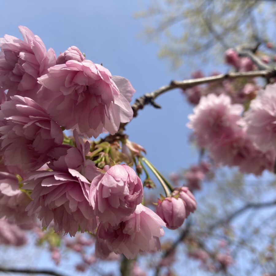 Osterferien in Berlin – unsere Tipps für Frühlingsausflüge